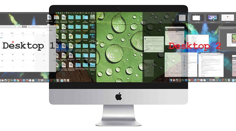Tips tetapan paparan di bahagian Accessibility dalam System Preferences Tips: Kurangkan kesan visual animasi di macOS