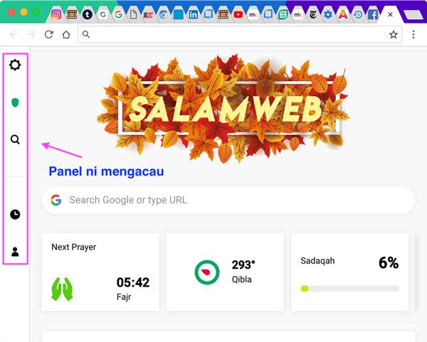 SalamWeb Panel tepi