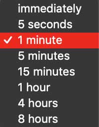 Sleep Require password